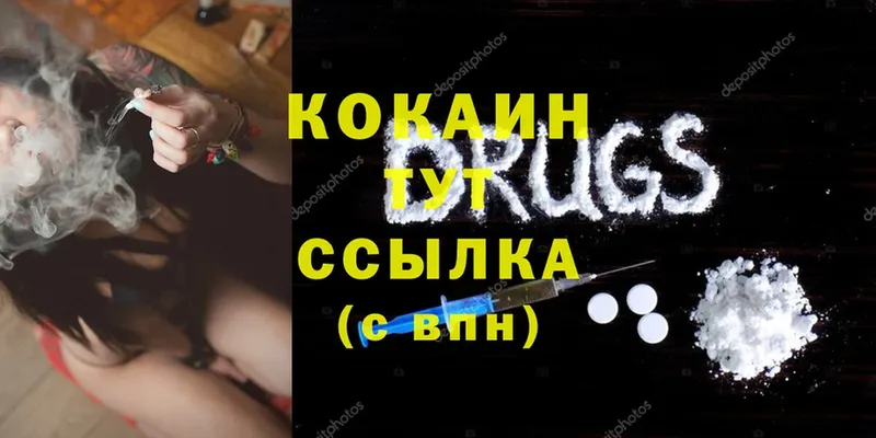 как найти закладки  Солигалич  Cocaine FishScale 